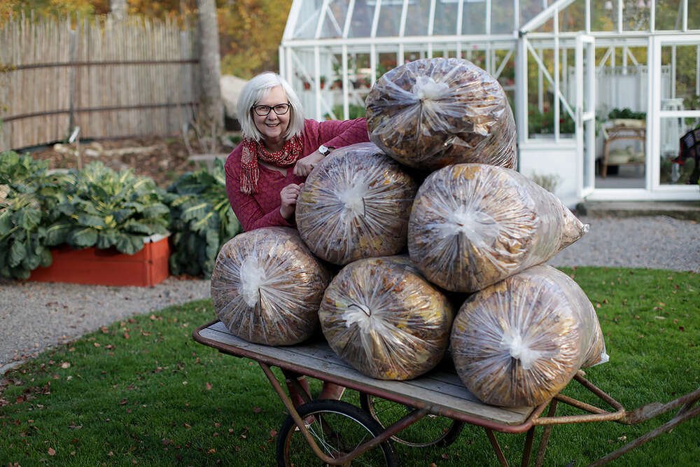 Lövkompostera I säck! - Flora Mea