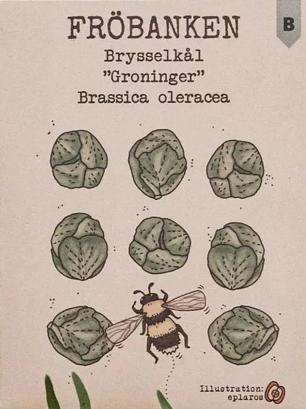 Brysselkål