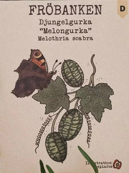 Djungelgurka