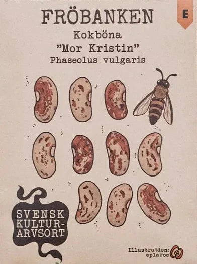 Kokböna