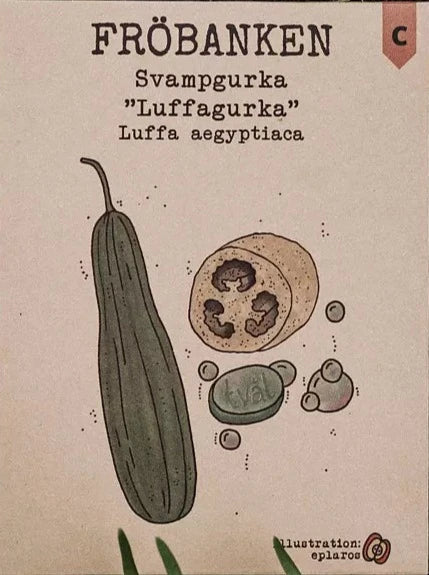 Svampgurka