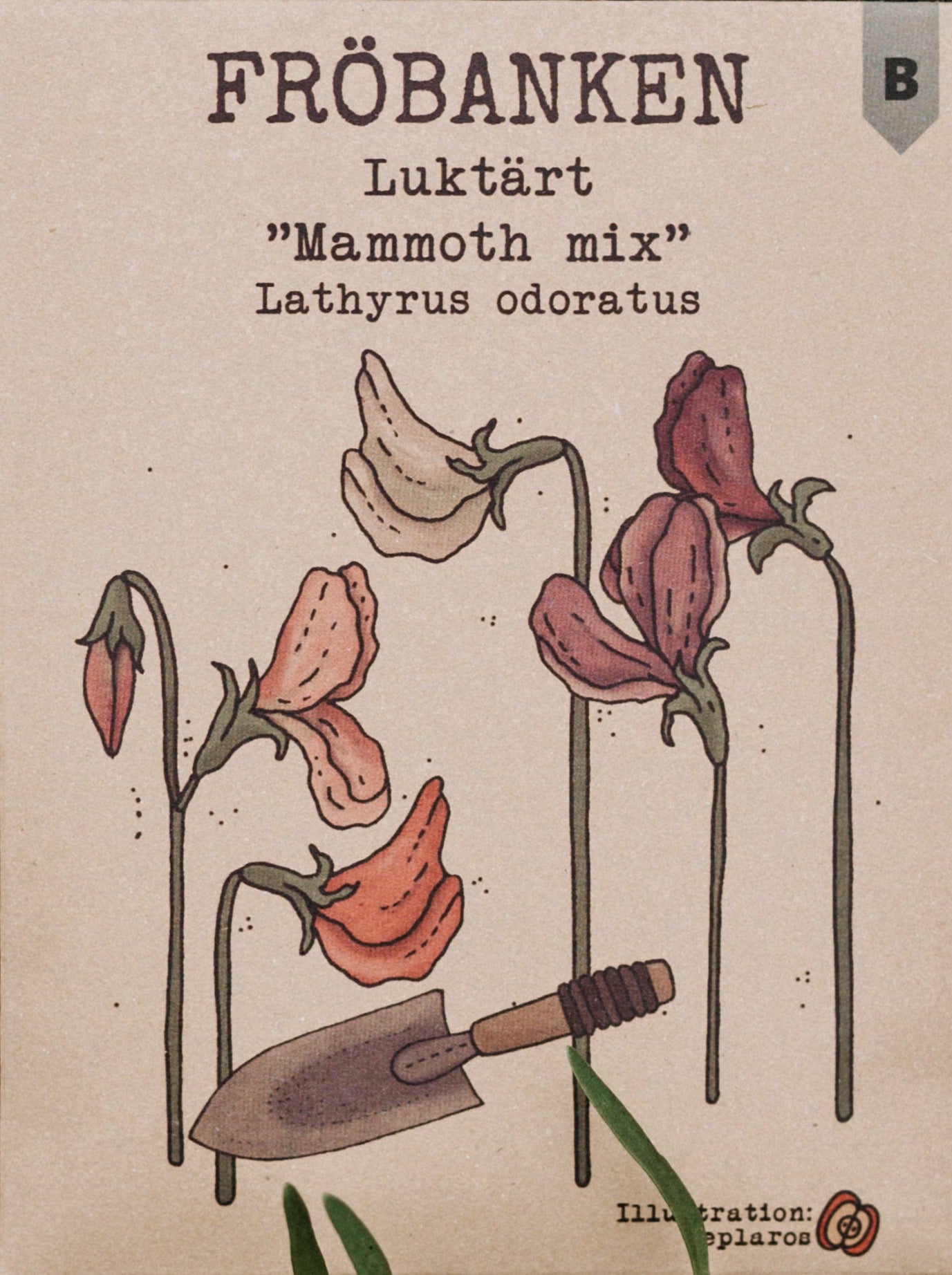 Luktärt