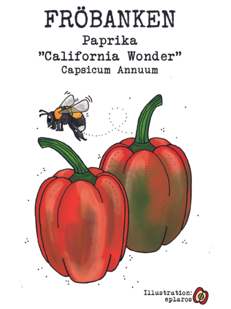 Paprika