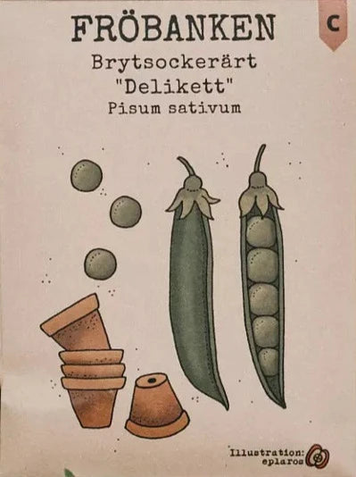 Brytsockerärt