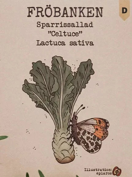 Sparrissallad