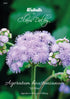 Ageratum