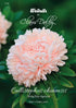 Aster