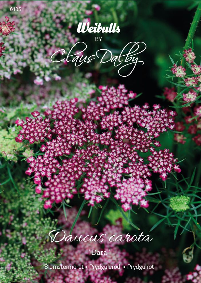 Blomstermorot