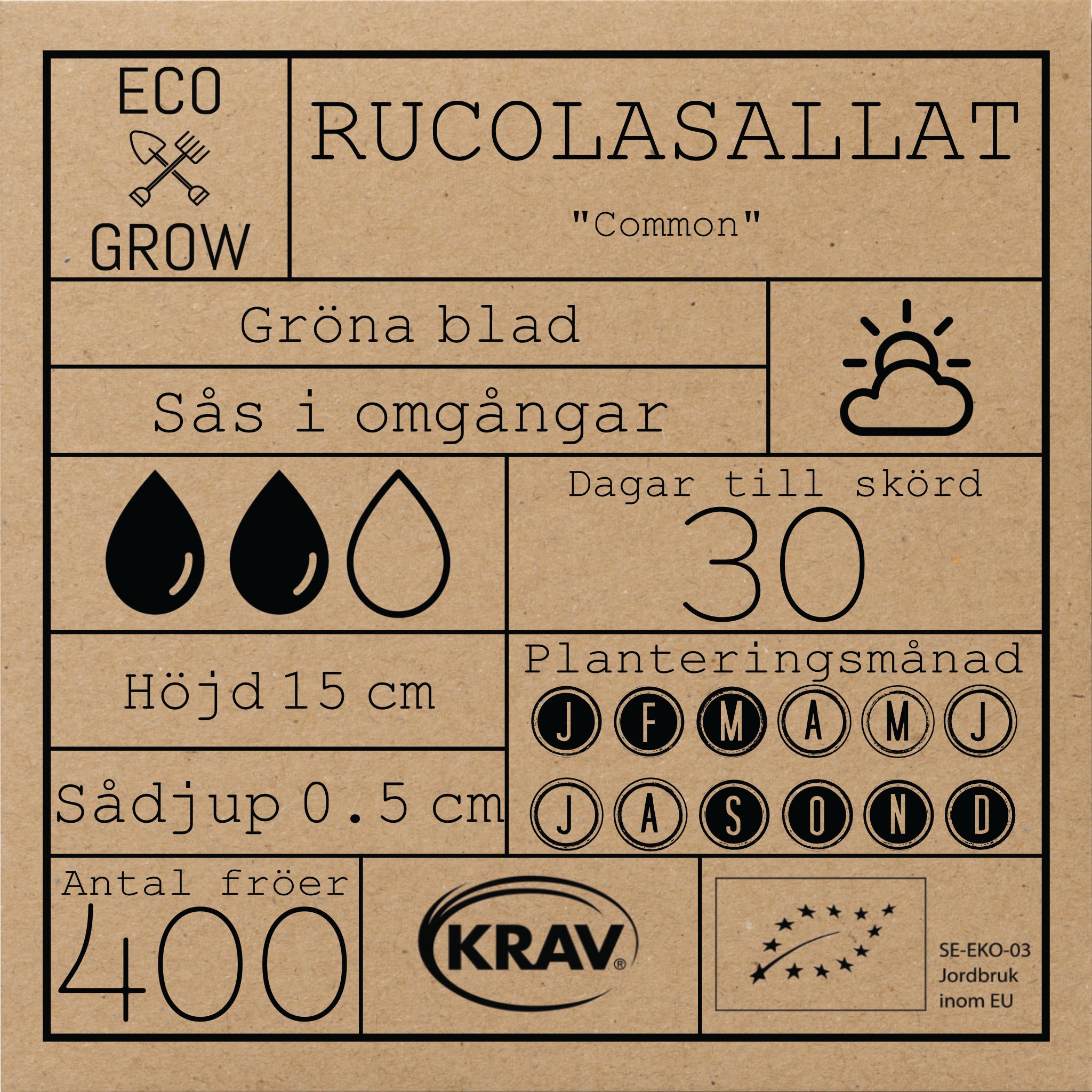 Rucolasallat