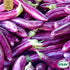 Aubergine