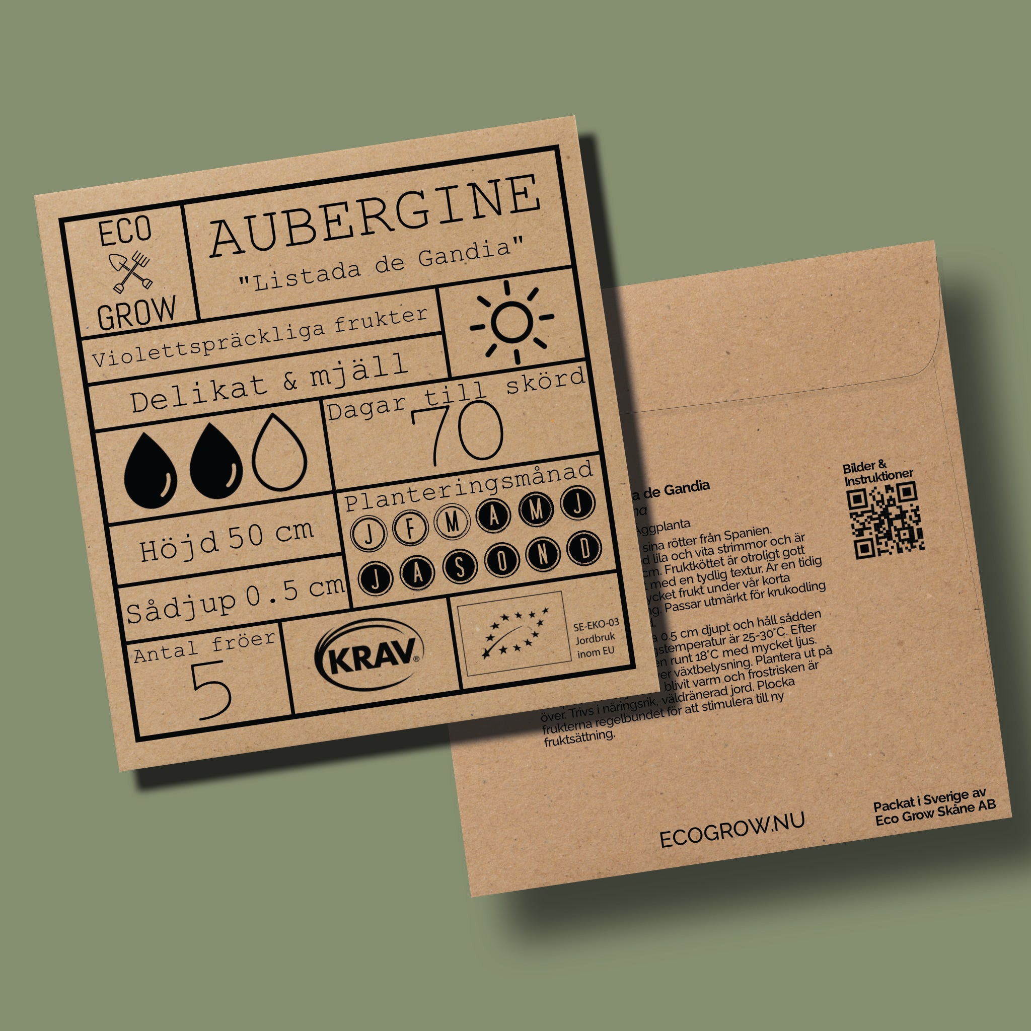 Aubergine