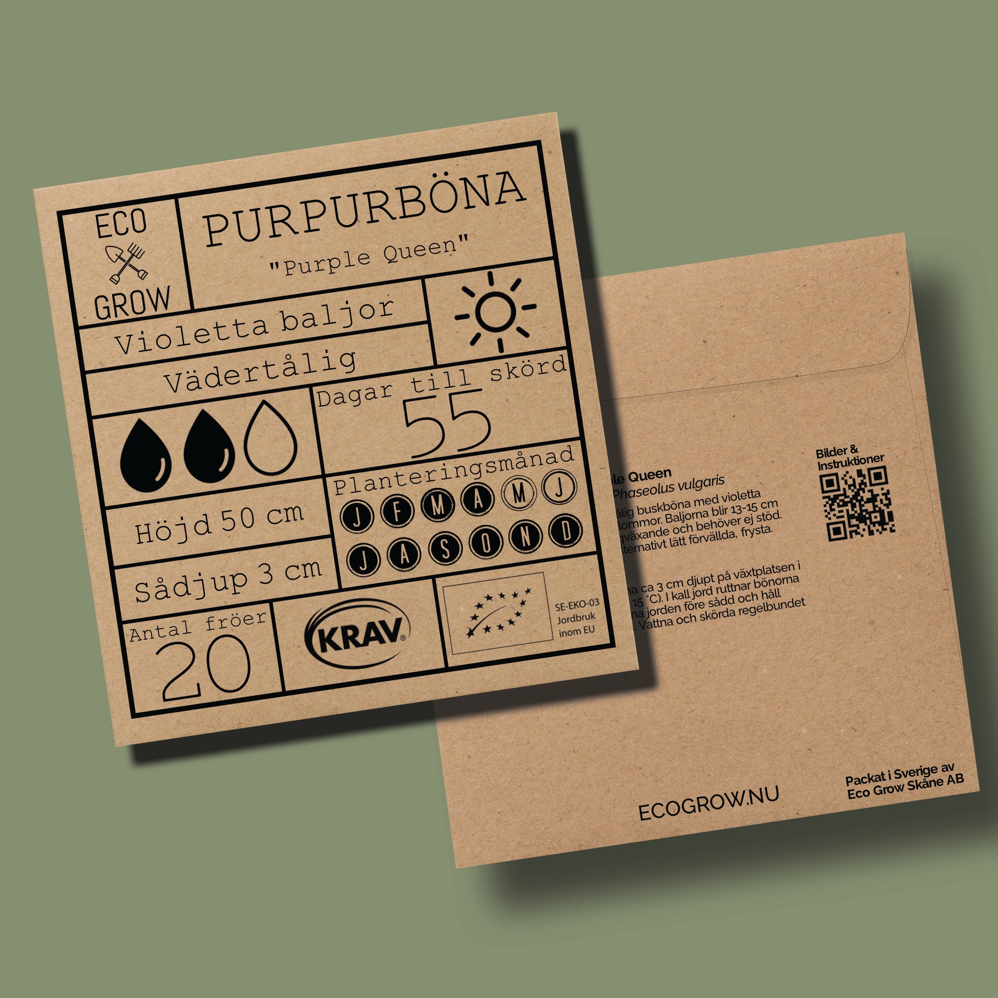 Purpurböna