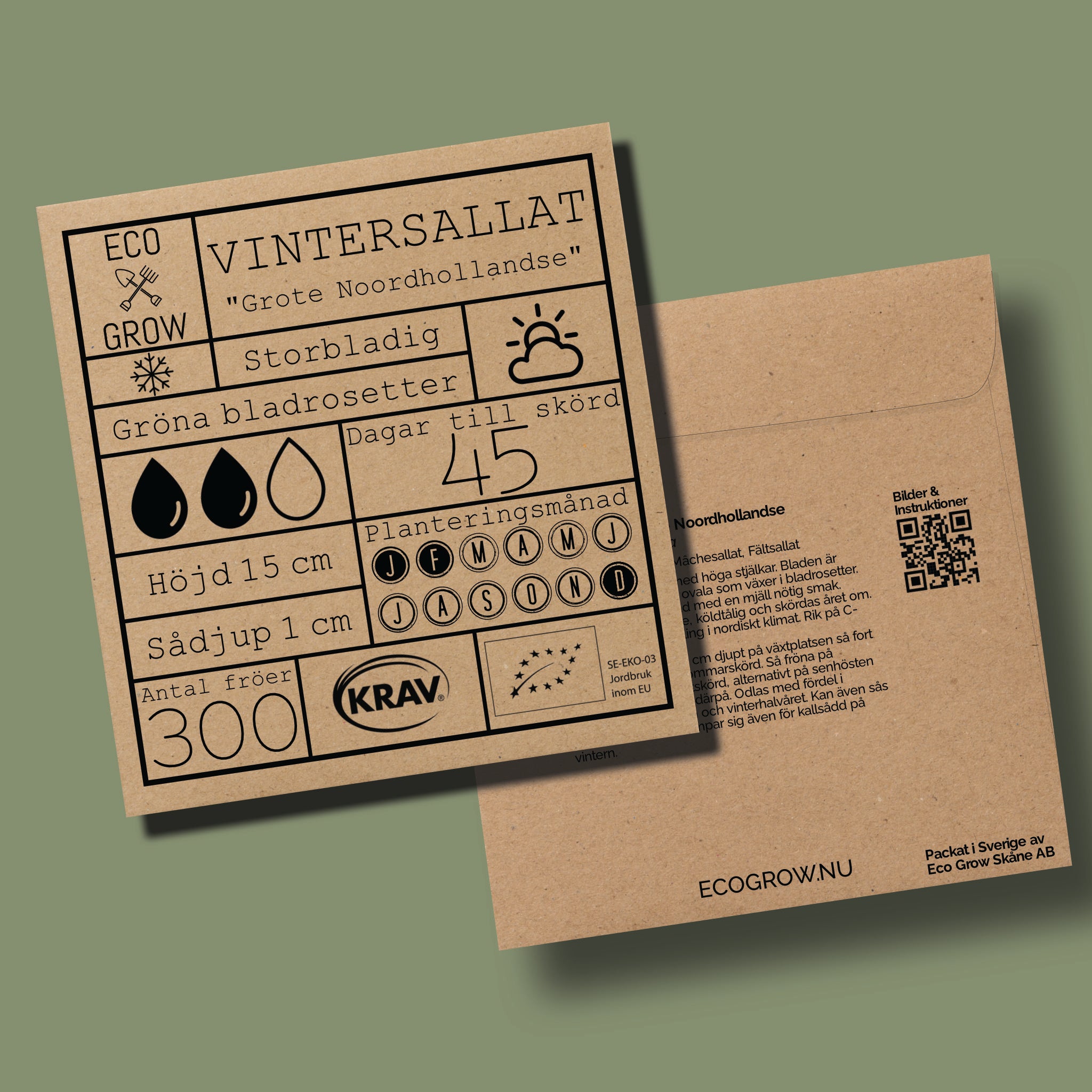 Vintersallat