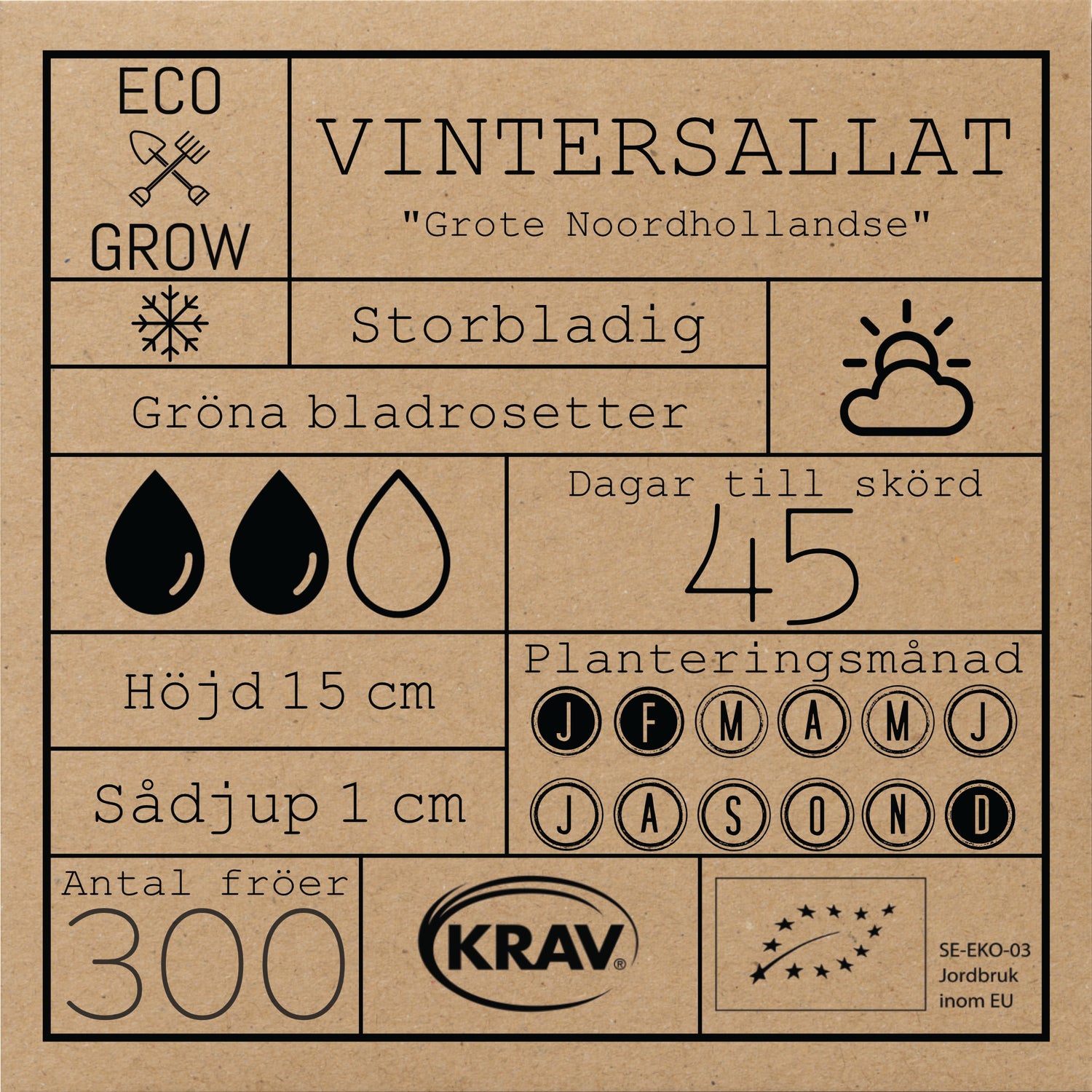 Vintersallat