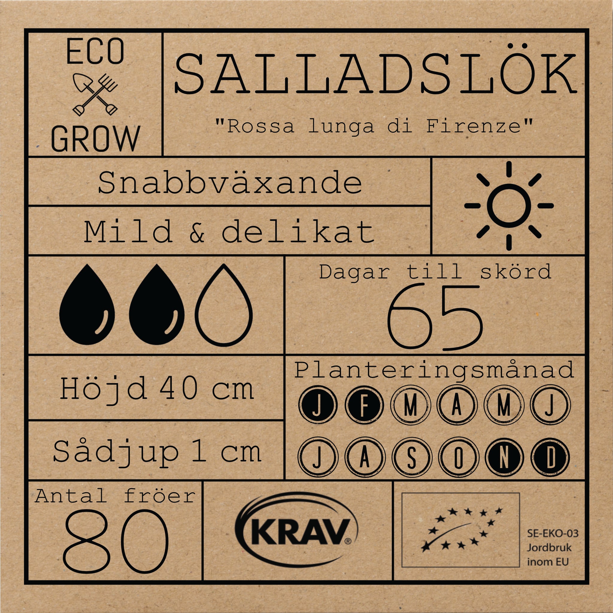 Salladslök