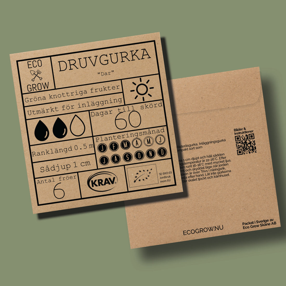 Druvgurka