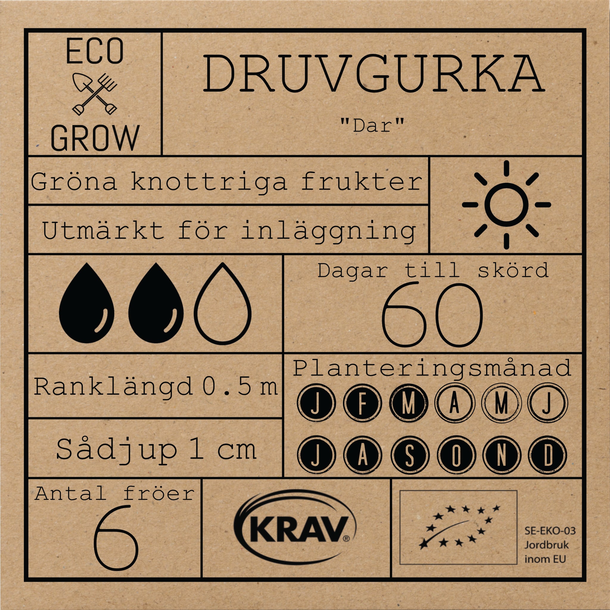 Druvgurka