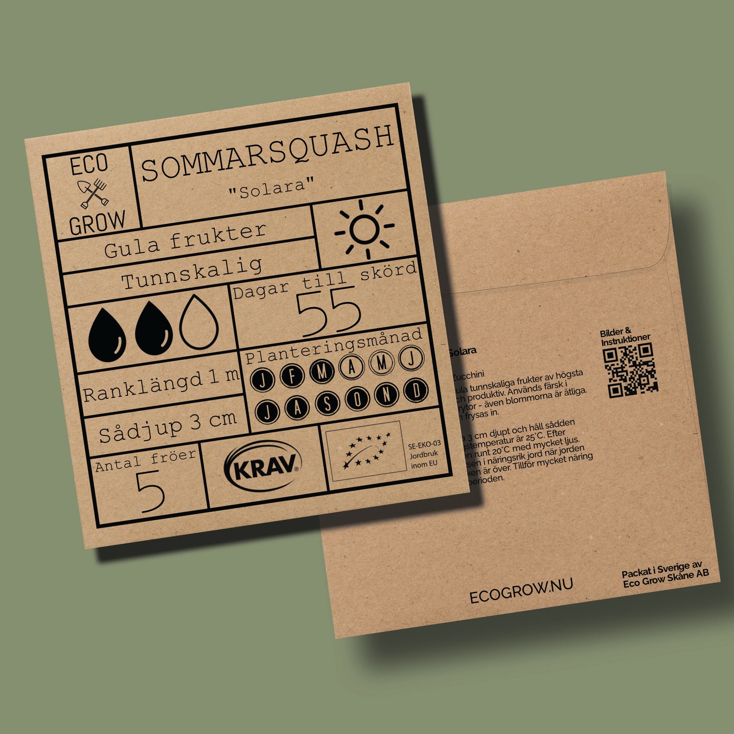 Sommarsquash