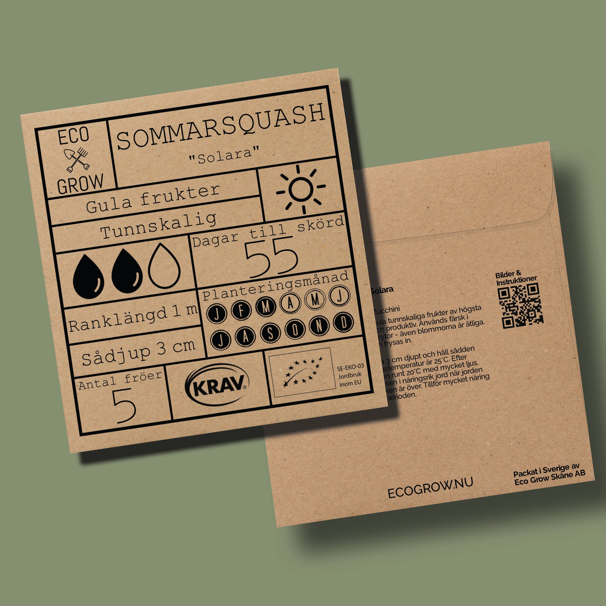 Sommarsquash