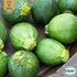 Sommarsquash