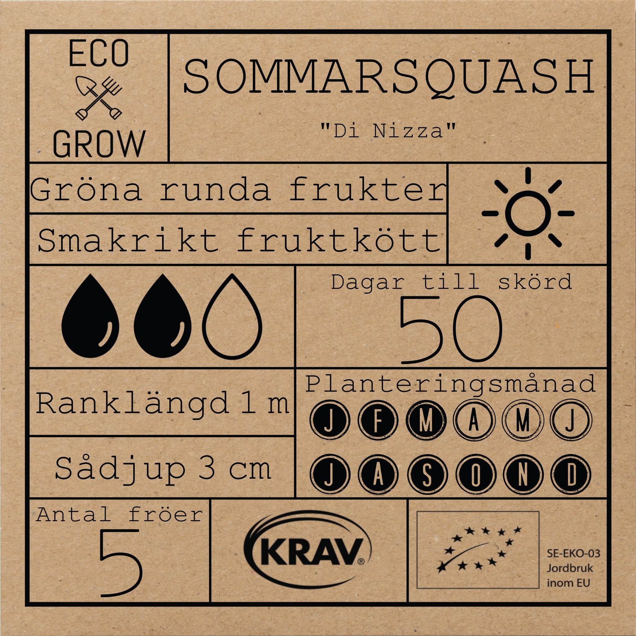 Sommarsquash