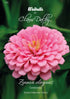 Zinnia