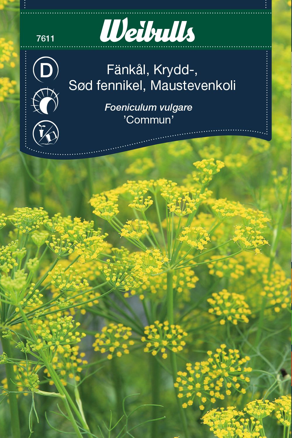 Fänkål, Krydd-