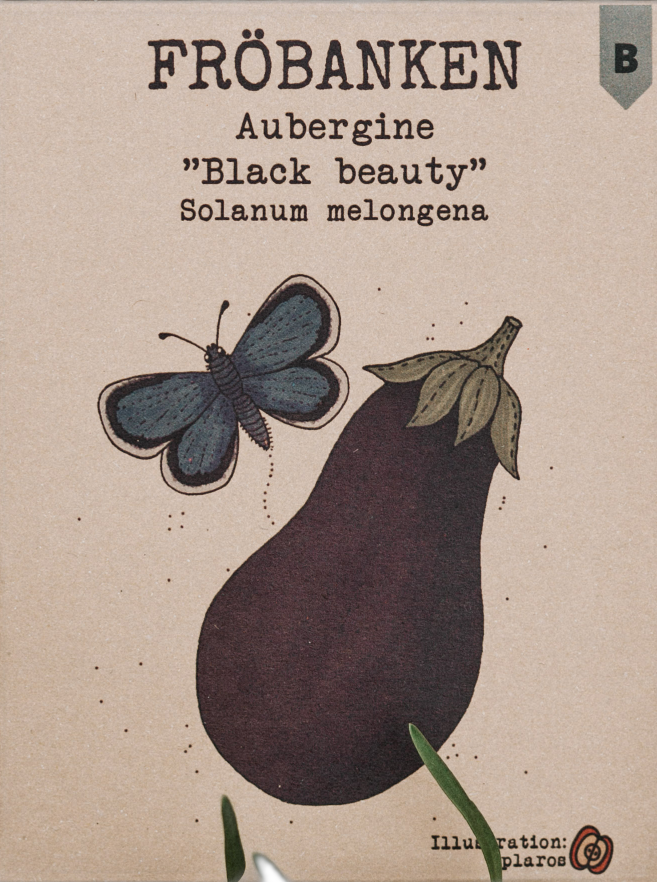 Aubergine
