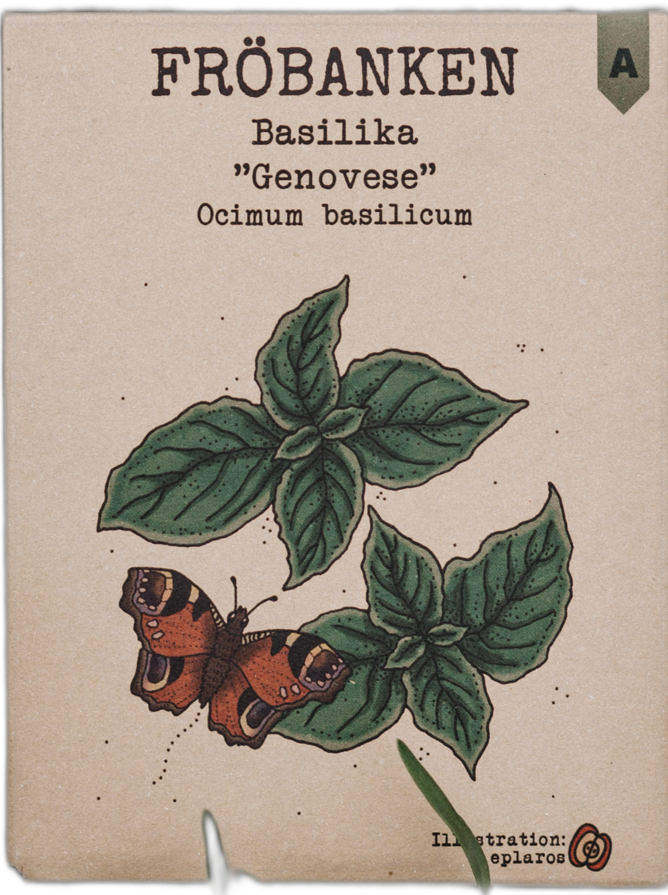 Basilika