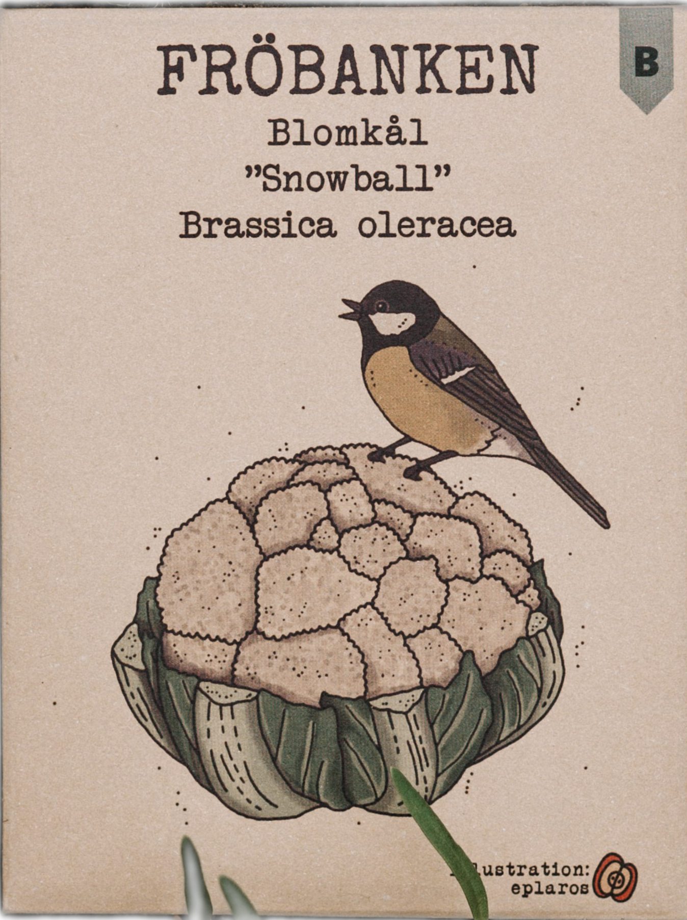 Blomkål