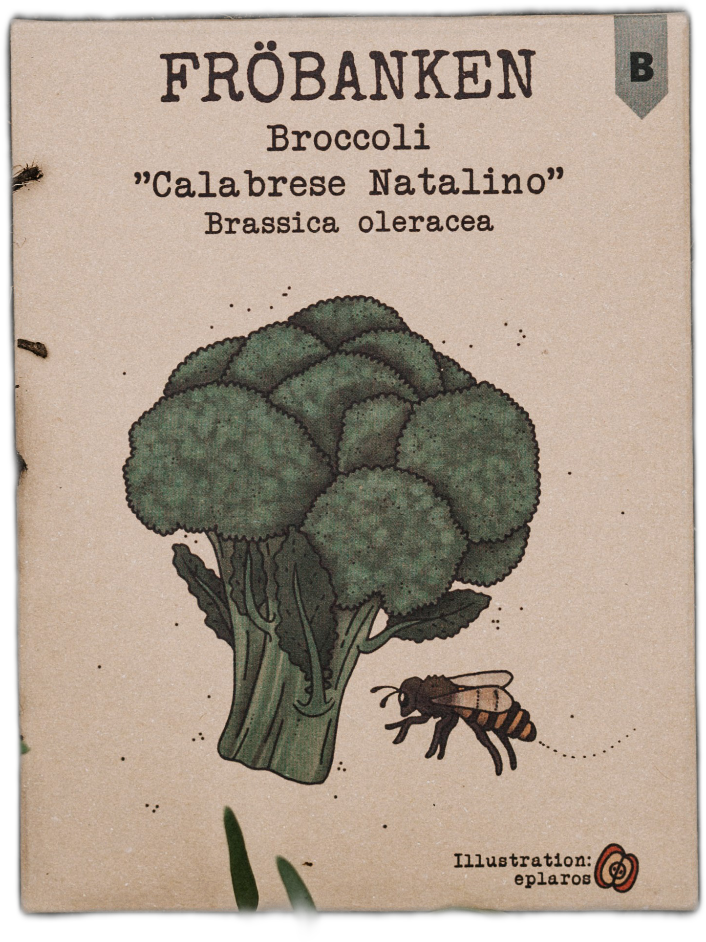 Broccoli