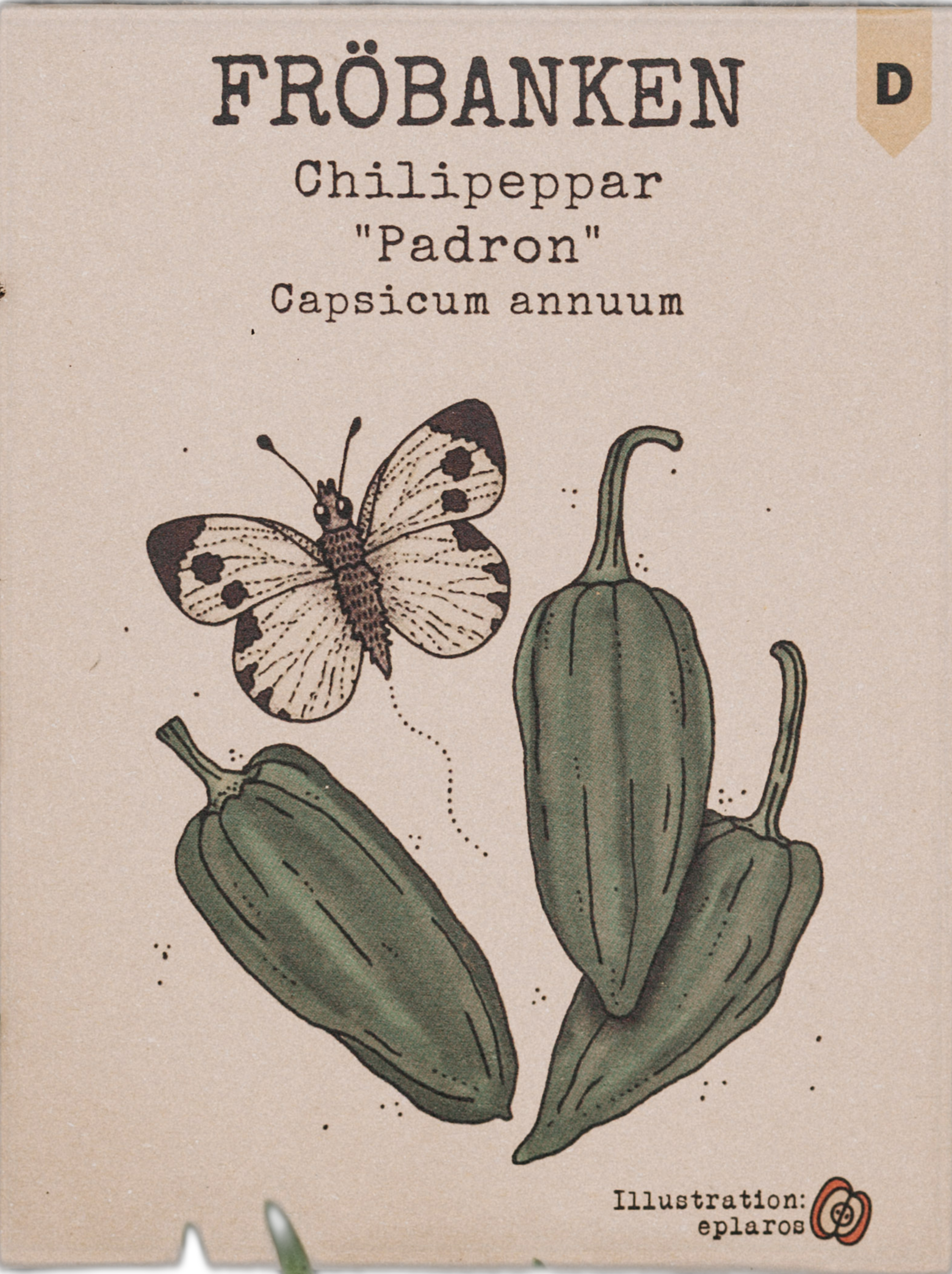 Chilipeppar
