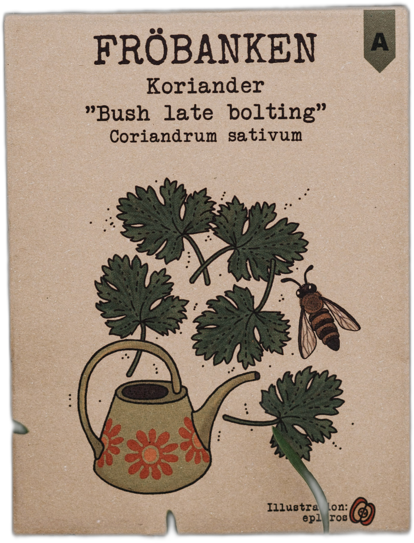 Koriander