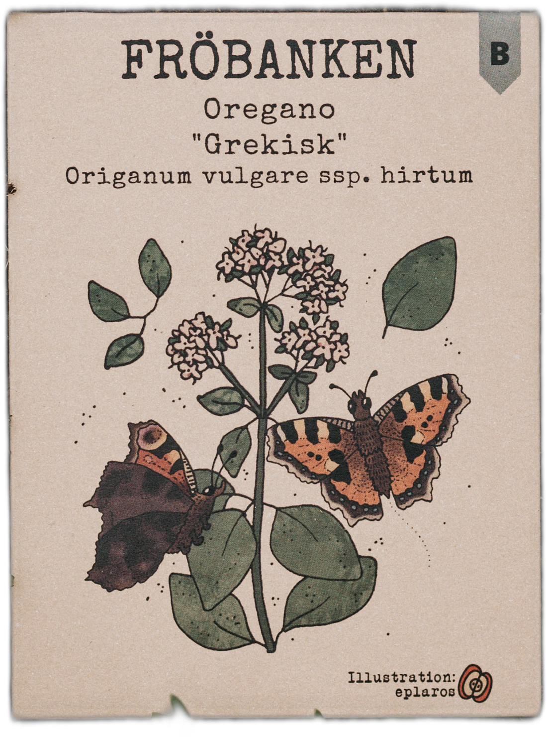 Oregano