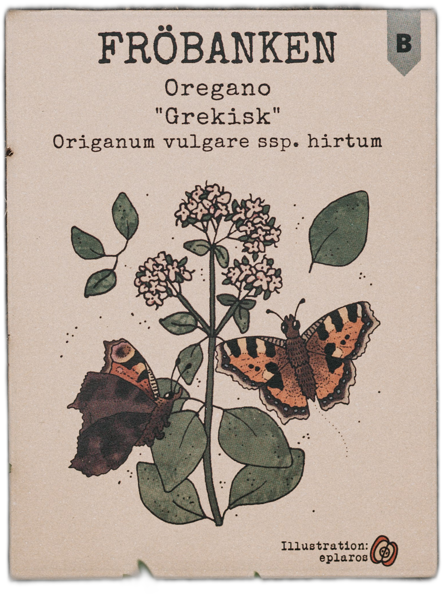 Oregano