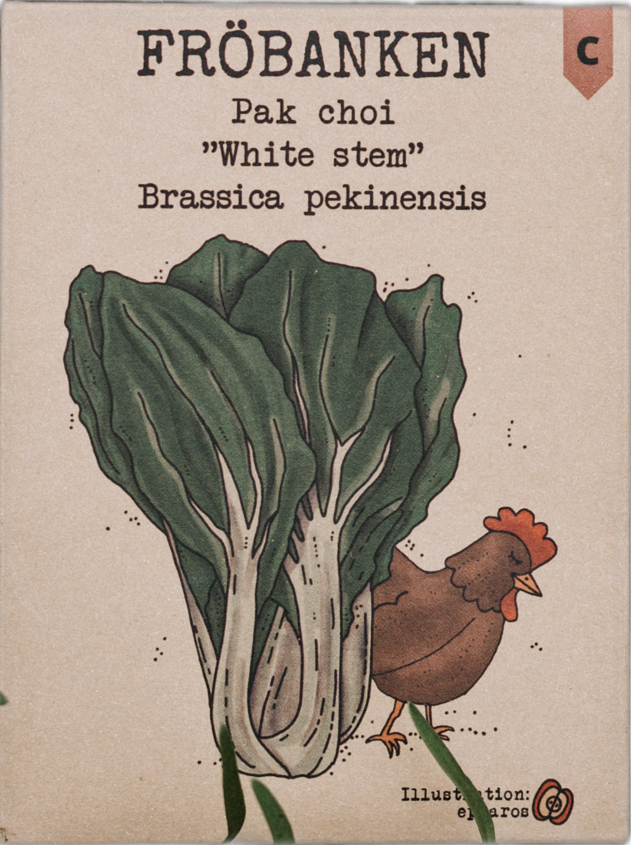 Pak choi