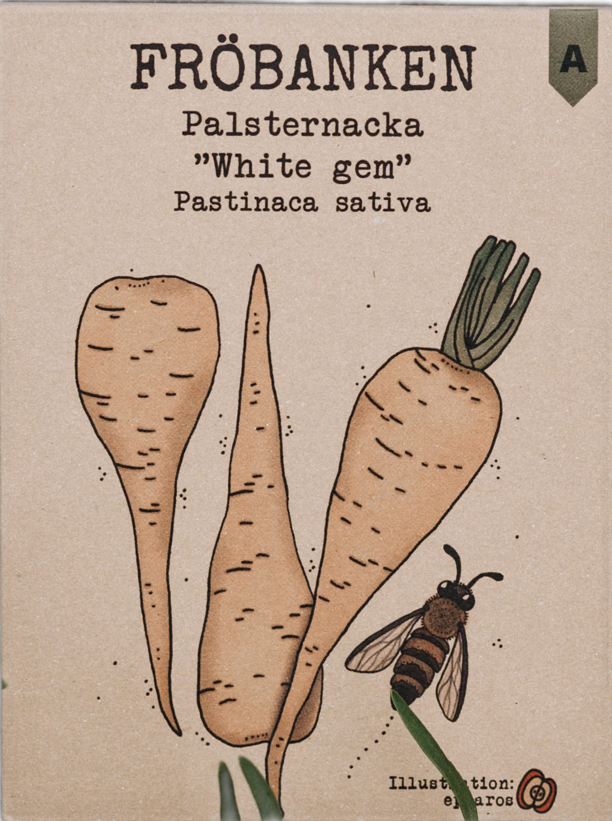 Palsternacka