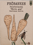 Palsternacka