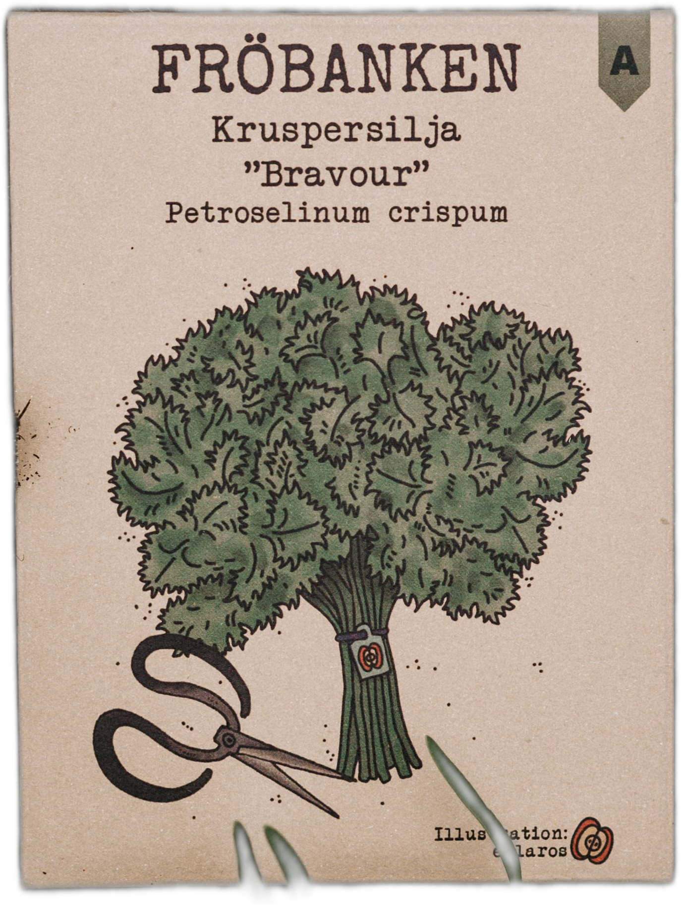 Kruspersilja