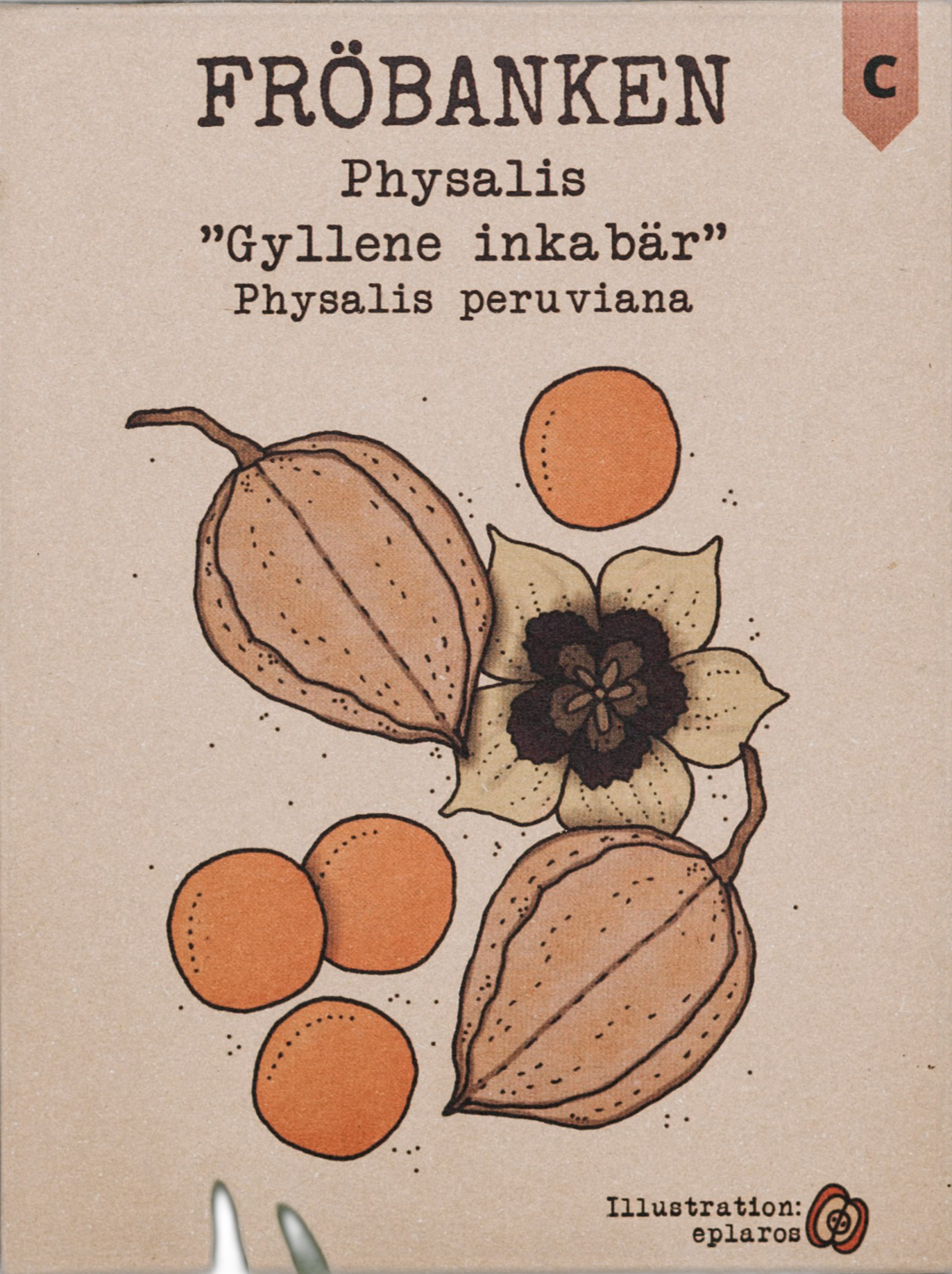 Physalis