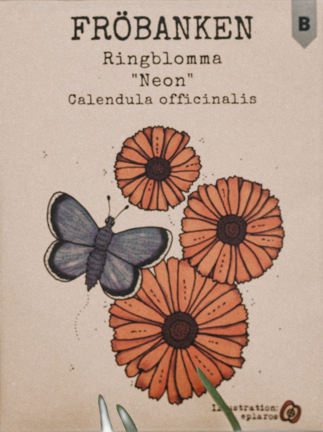 Ringblomma