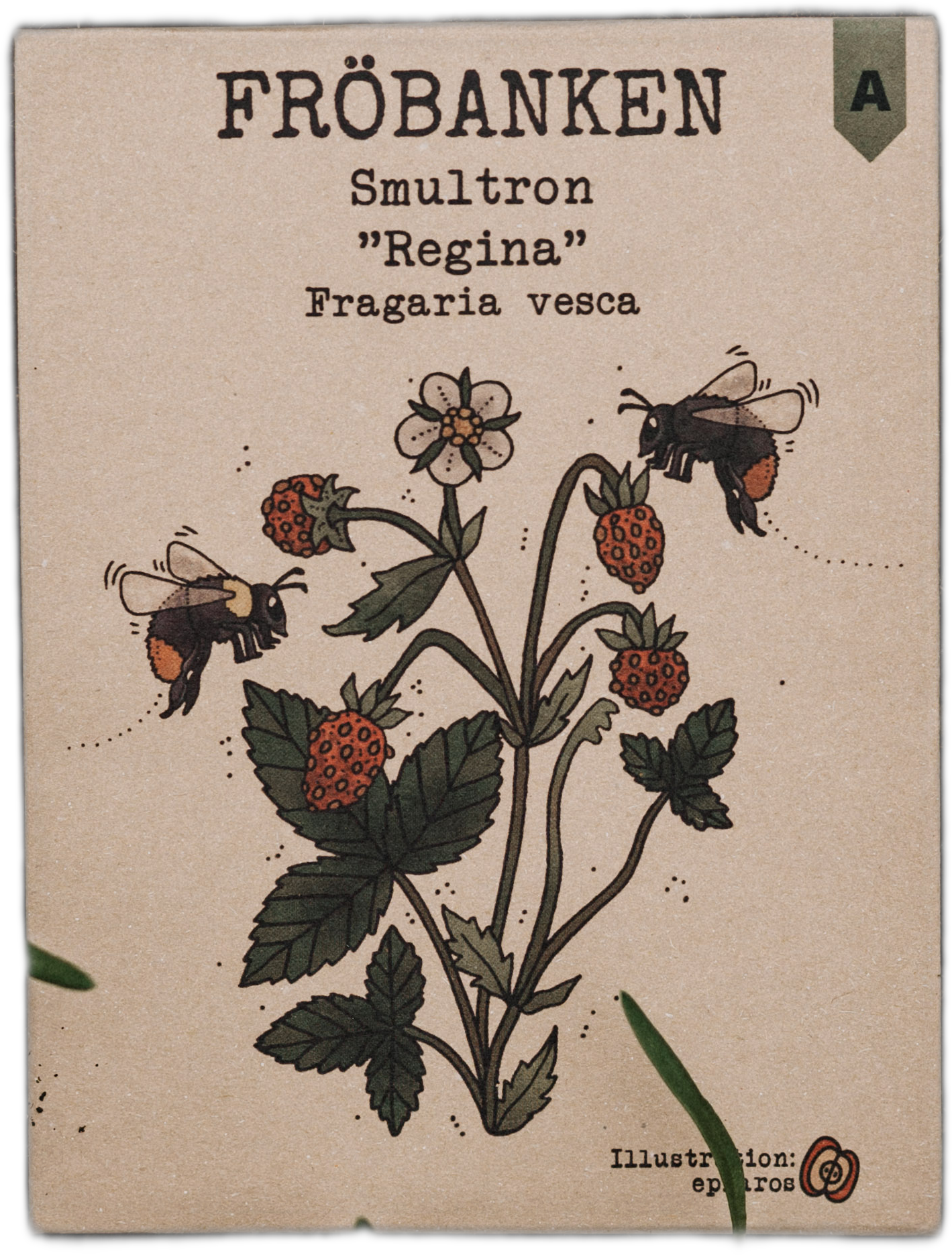 Smultron