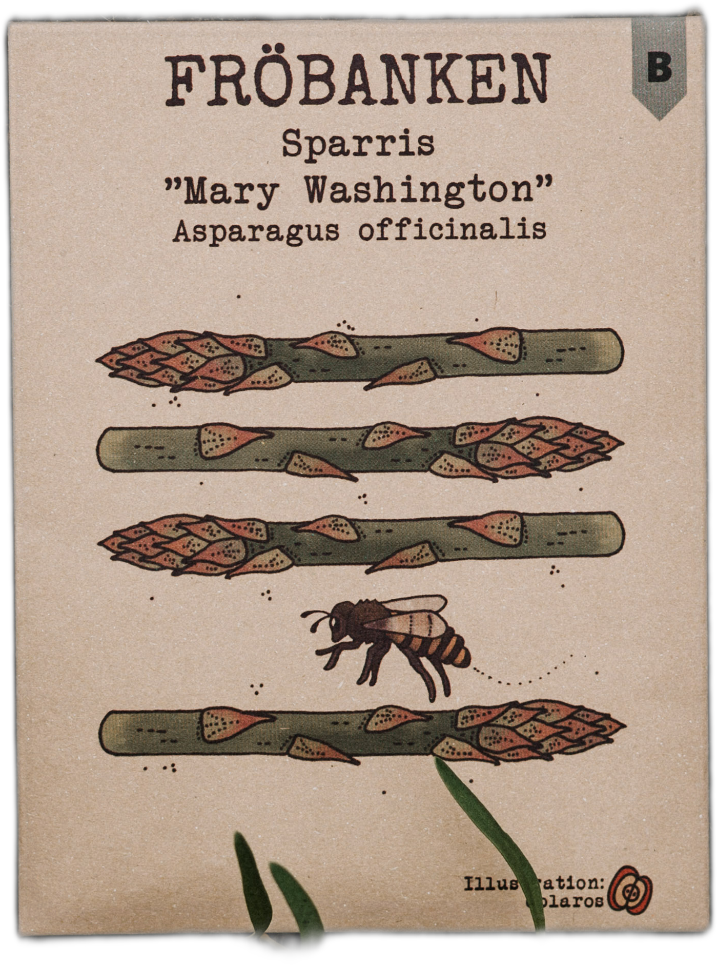 Sparris