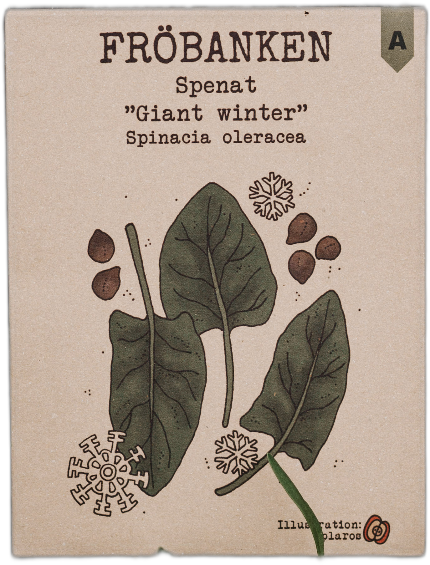 Spenat