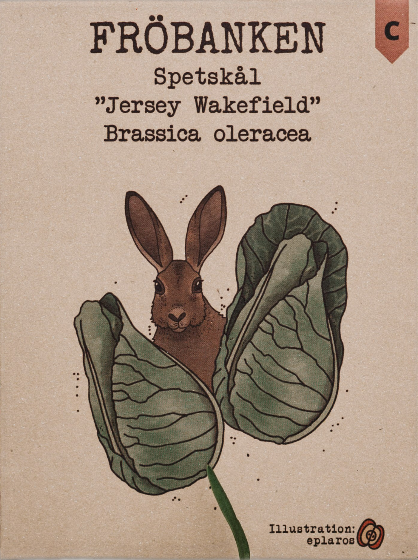 Spetskål