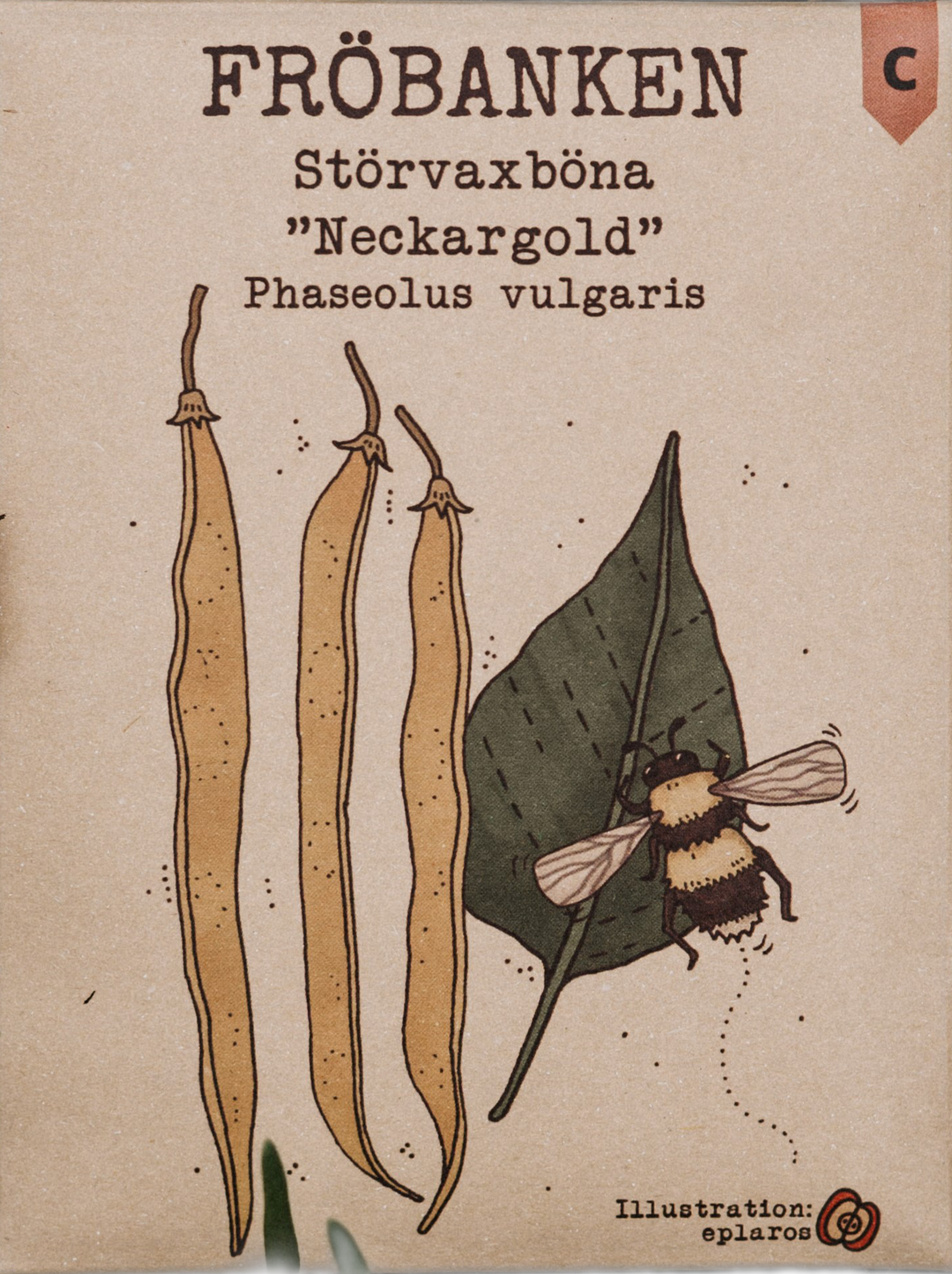 Störvaxböna
