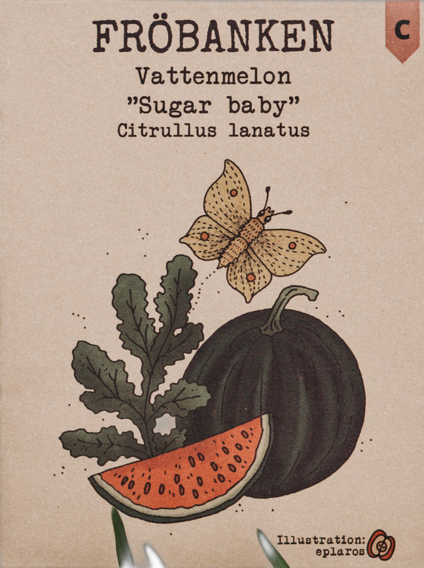 Vattenmelon