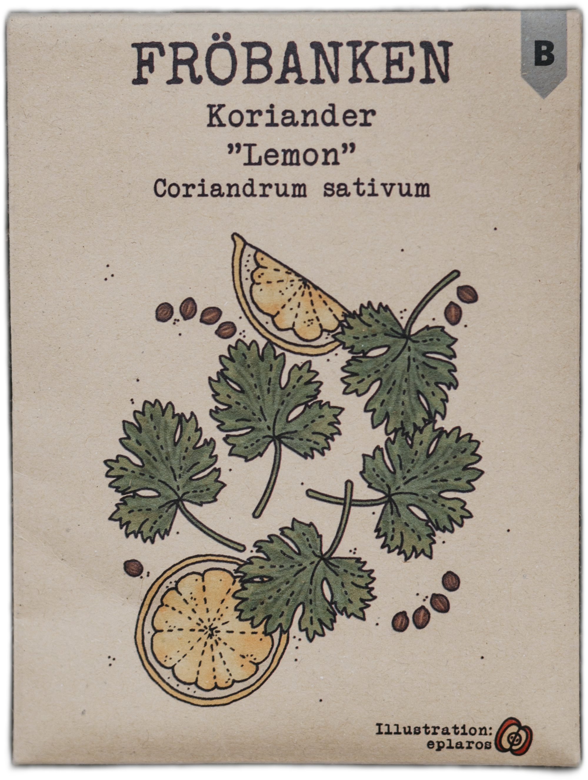 Koriander