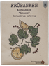 Koriander