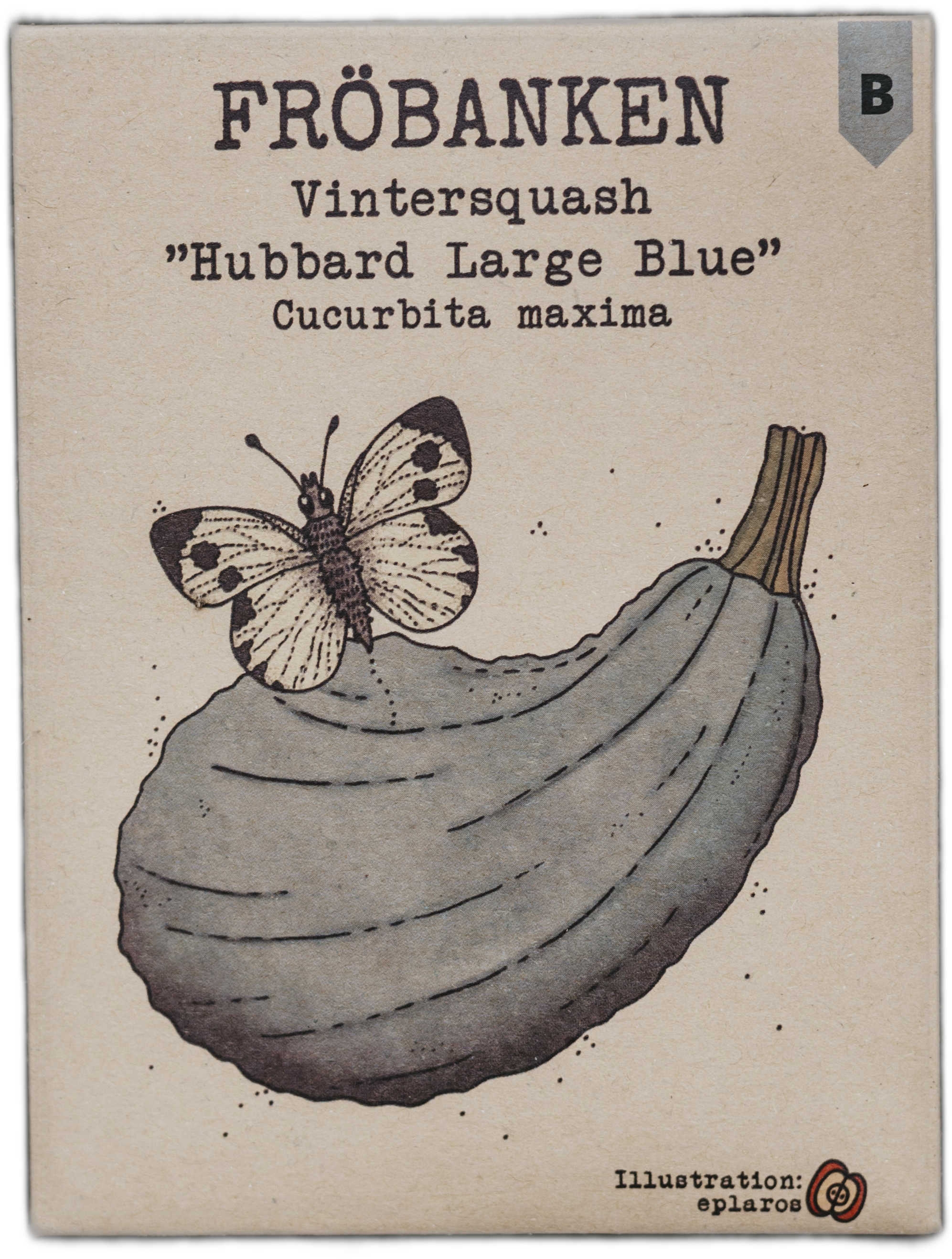 Vintersquash